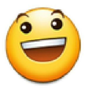 Meet your Posher, Summer