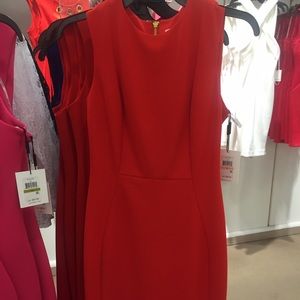 Meet your Posher, Judi