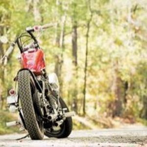 Meet your Posher, Carter