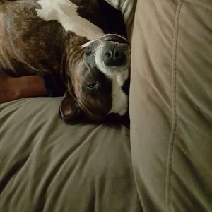 Meet your Posher, Connie