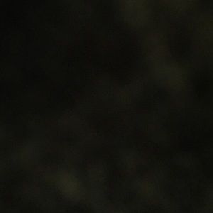 Meet your Posher, Kalani