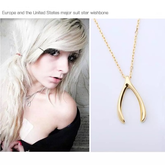 🆕 Lucky wishbone gold necklace