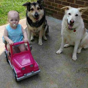 Meet your Posher, Deanna