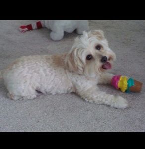 Meet your Posher, Kathy