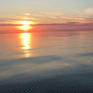 Meet your Posher, Ronnie