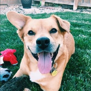 Meet your Posher, Katie