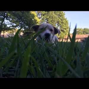 Meet your Posher, Annabella