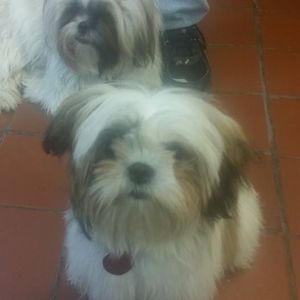 Meet your Posher, Renae