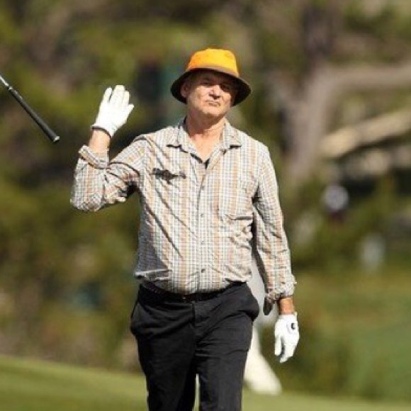 Meet your Posher, Brandi - Picture 1 of 1