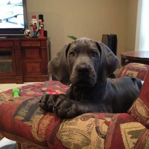 Meet your Posher, Summer