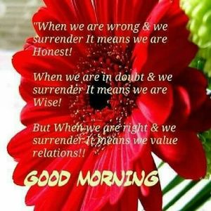 Meet your Posher, Yue