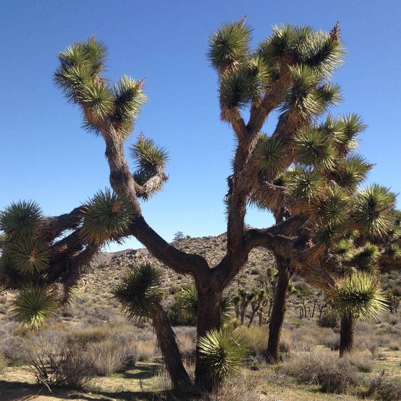 Meet your Posher, Cassie