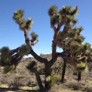 Meet your Posher, Cassie