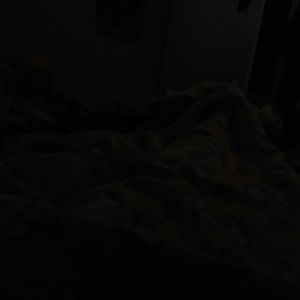 Meet your Posher, Patty