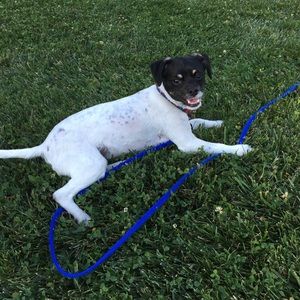 Meet your Posher, Max