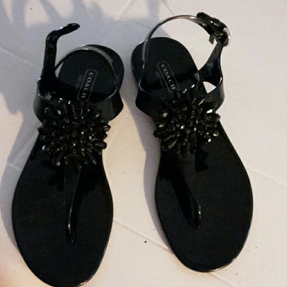 Nwot coach jellys