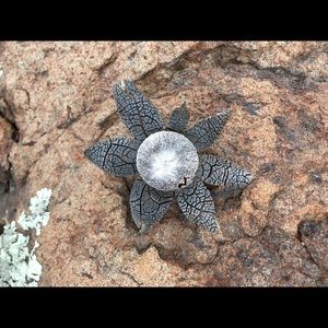 Meet your Posher, Jami