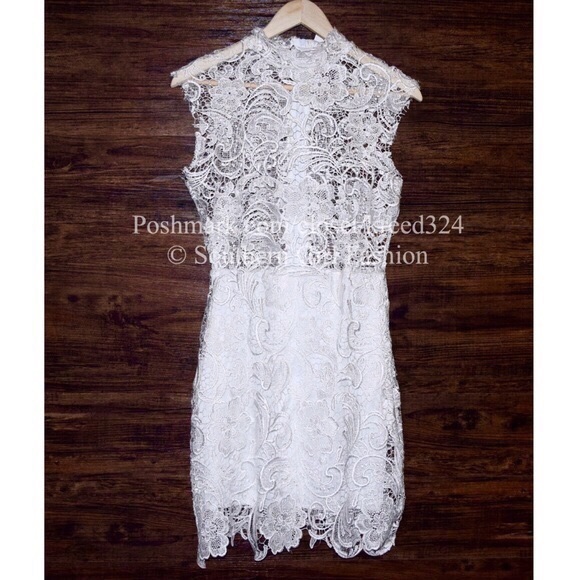 LACE DRESS Vintage Eyelet Cutout Bodycon Cocktail - Picture 2 of 4