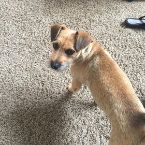 Meet your Posher, Amy