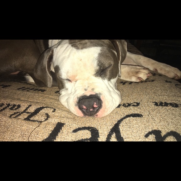 Meet your Posher, Autumn