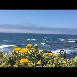 Meet your Posher, Gaby