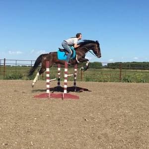 Meet your Posher, Cailey