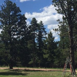 Meet your Posher, Ashton