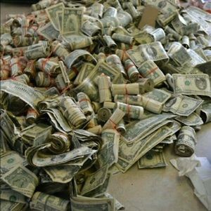 Meet your Posher, Amiya