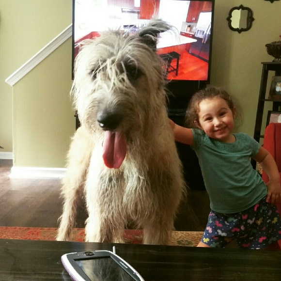 ♉Meet your Posher♉ - Picture 4 of 4