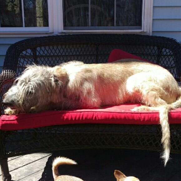 ♉Meet your Posher♉ - Picture 2 of 4