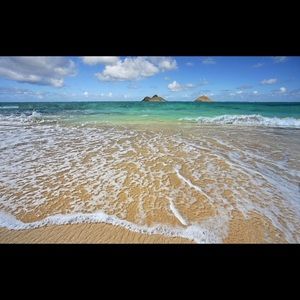 Meet your Posher, D'anna lee