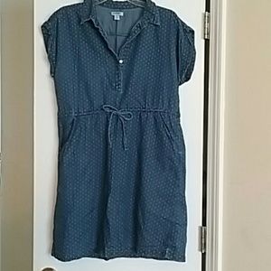 Chambray Polka-dot Dress