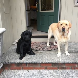 Meet your Posher, Pat