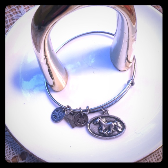 Bow River Jewelry - Silver toned charm bangle