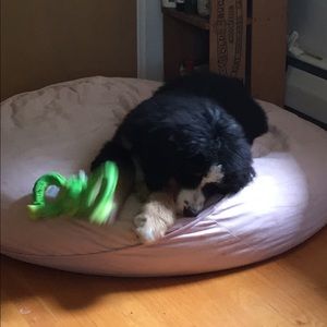 Meet your Posher, Alienor