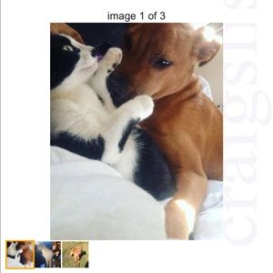 Meet your Posher, Nick