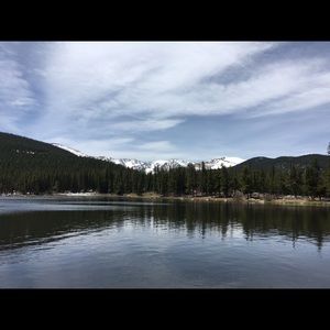 Meet your Posher, Gladys