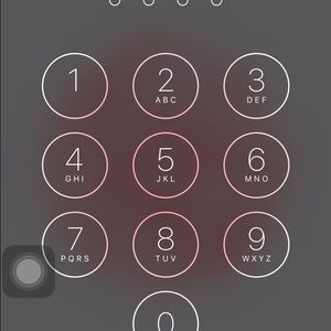 Meet your Posher, Lindsey