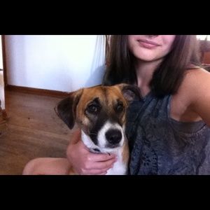 Meet your Posher, Madison