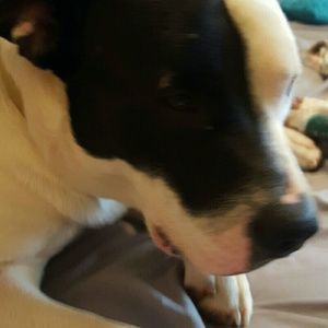 Meet your Posher, Candi