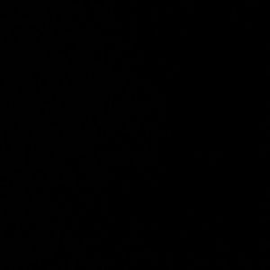 Meet your Posher, Risa