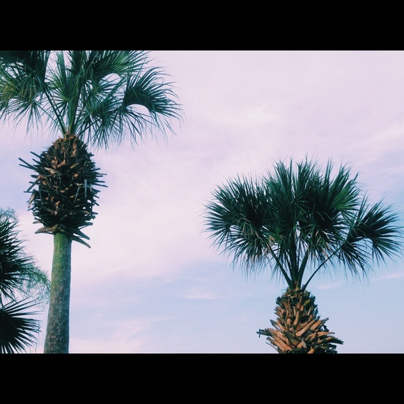 Meet your Posher, Sophie - Picture 1 of 1