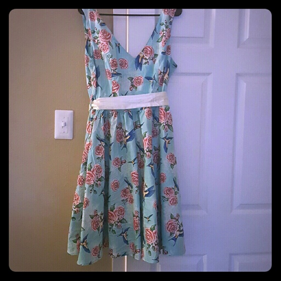 A-line roses & swallows dress (hellbunny/modcloth)