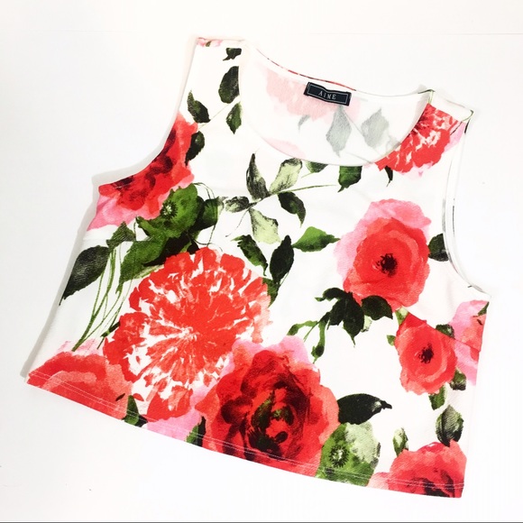 ClosetCrisisTX Tops - LAST CALL Rose Red White Floral Crop Top Crepe
