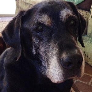 Meet your Posher, Cathy