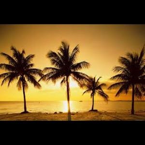 Meet your Posher, Destiny