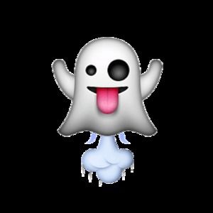 Meet your Posher, Theresa