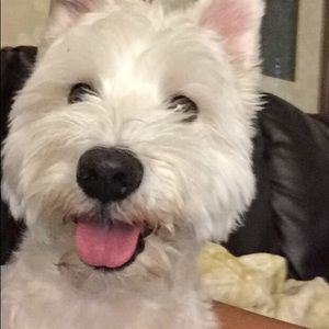 Meet your Posher, Micaela