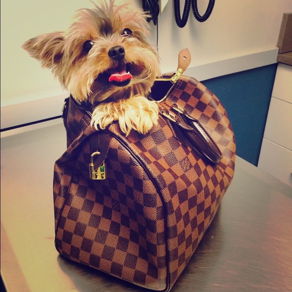 ORIGINAL LOUIS VUITTON
Ebene Damier Speedy 30👜