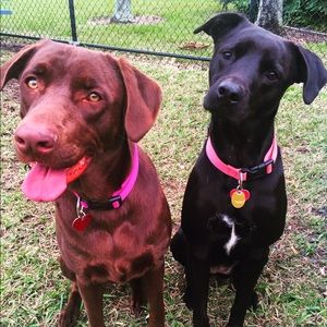 Meet your Posher, Erica